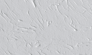 Cruse Spezialmaschinen GmbH - Sample